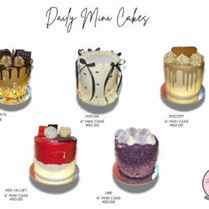 Daily Mini Cakes